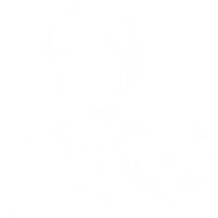 icon2