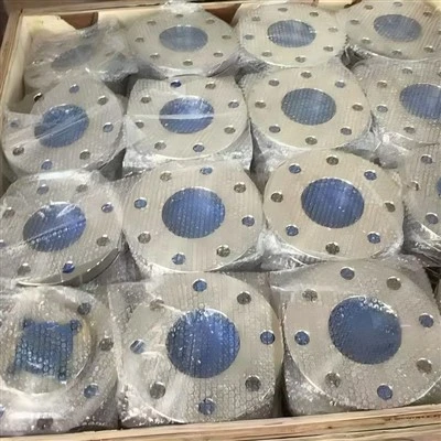 ASME B16.5 WNRF 4 SCH40 SS316 Flange